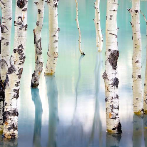 Autumn Falling Into the Lake