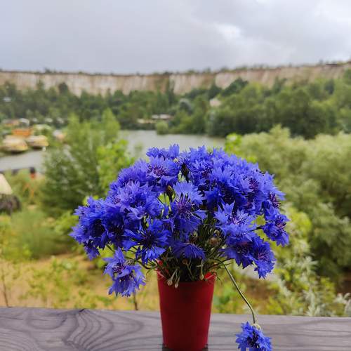 Photo #12849410
