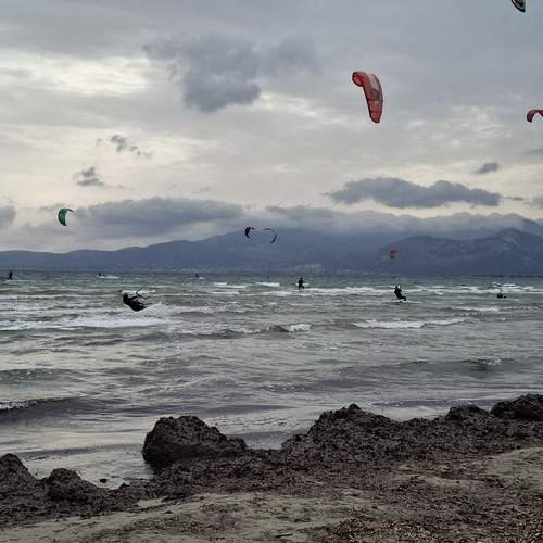 Photo #12849434