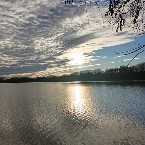 Photo #12849570