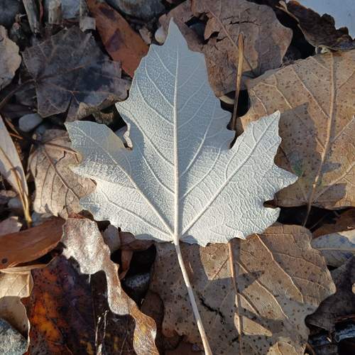 Photo #12849572