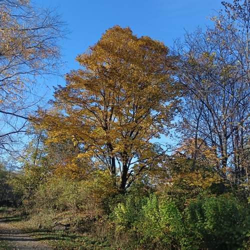 Photo #12849573