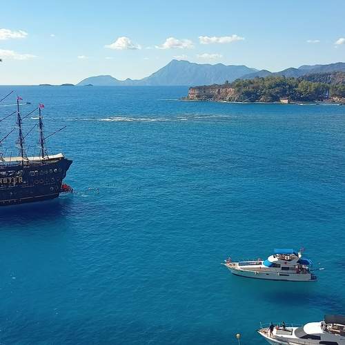 Photo #12849665