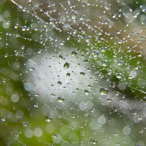 Photo #12849723