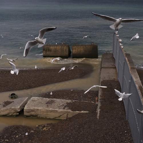 Photo #12849920