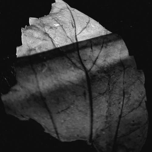 Conceptual Photography.