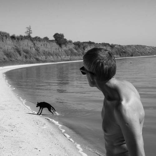 Photo #12850038