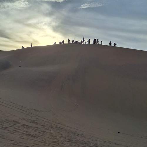 Photo #12850041