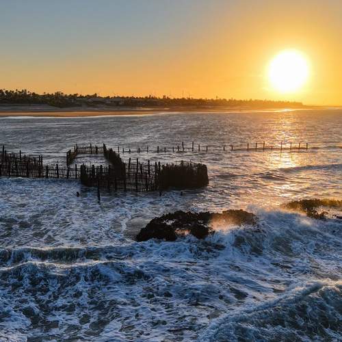 Photo #12850214