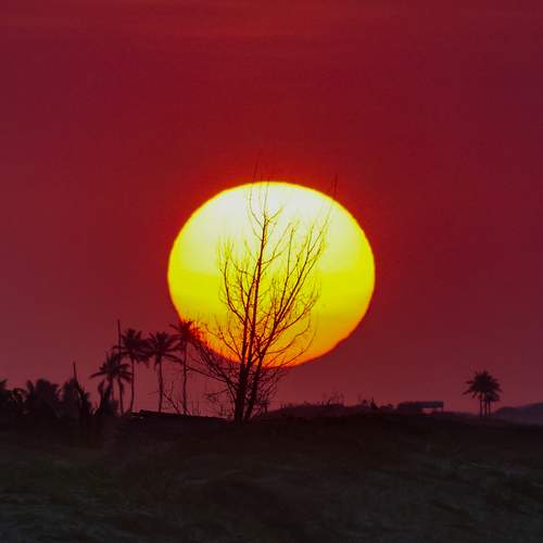 Photo #12850215