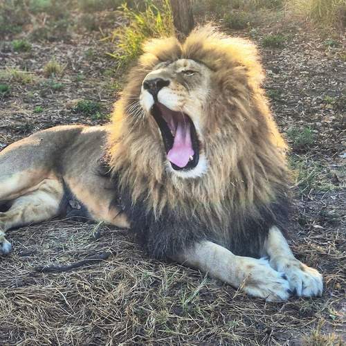 Photo #12850694