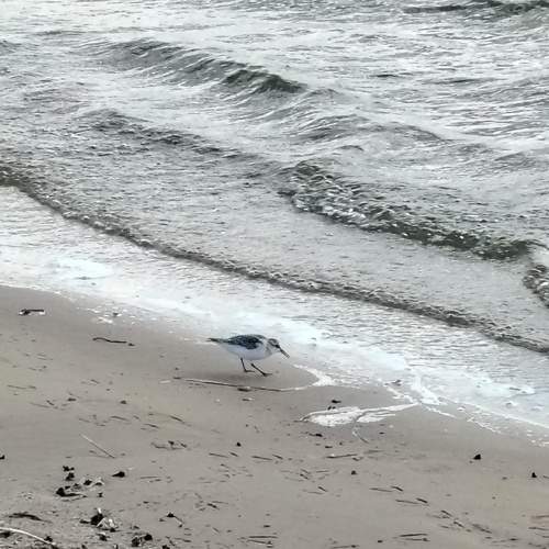 Photo #12850765