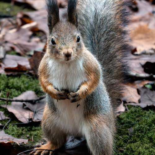 Photo #12850841