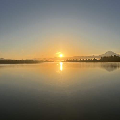 Photo #12851057