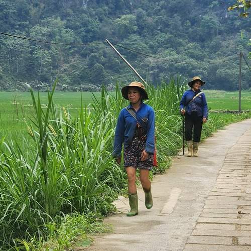 Photo #12851060