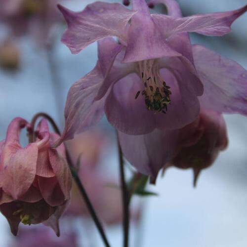 Photo #12851079