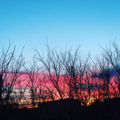 Photo #12851080