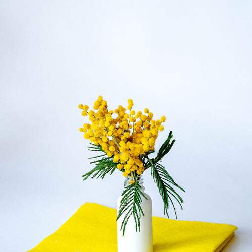 Photo #12851120