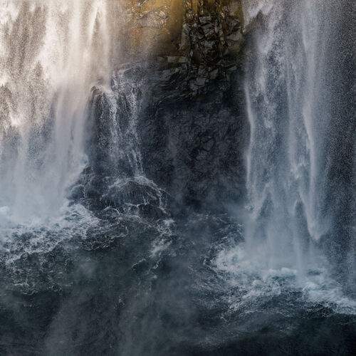 Photo #12851291