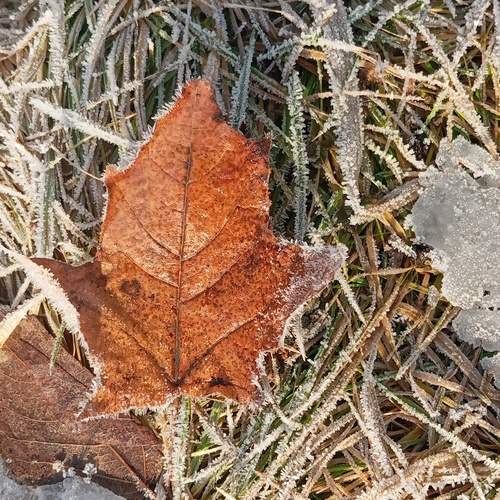 Photo #12851376