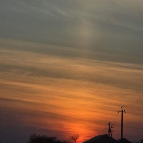 Photo #12851460
