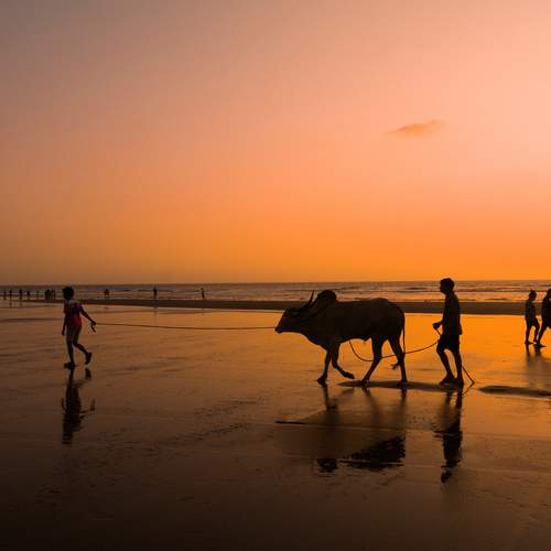 Photo #12851711
