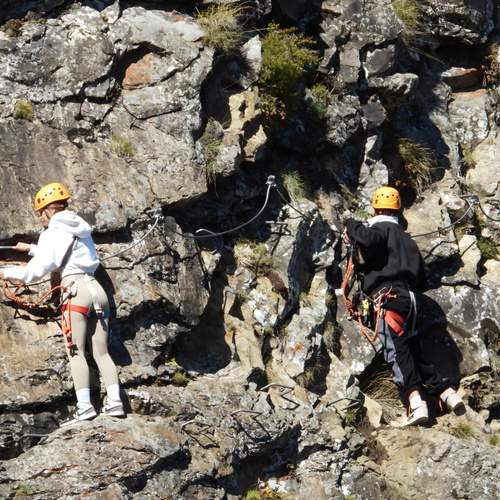 Photo #12851834