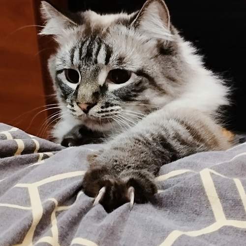Охотник