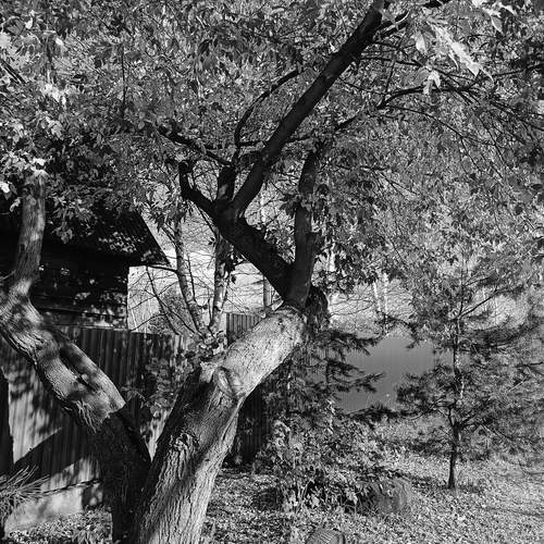 Photo #12852550