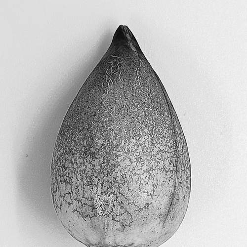 Photo #12852644