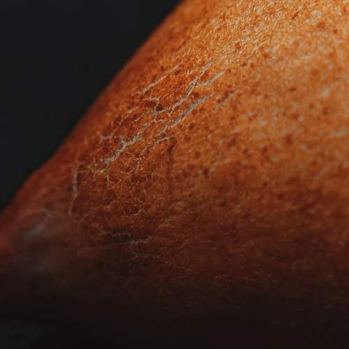 Photo #12852645