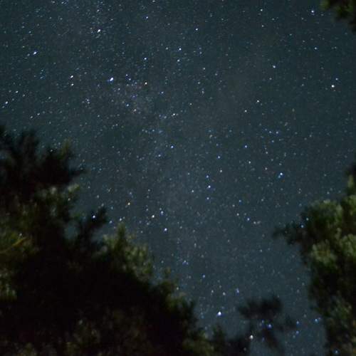 Photo #12852694