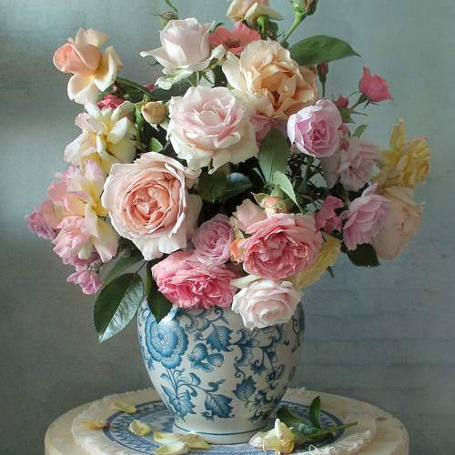 Фотография #12852886