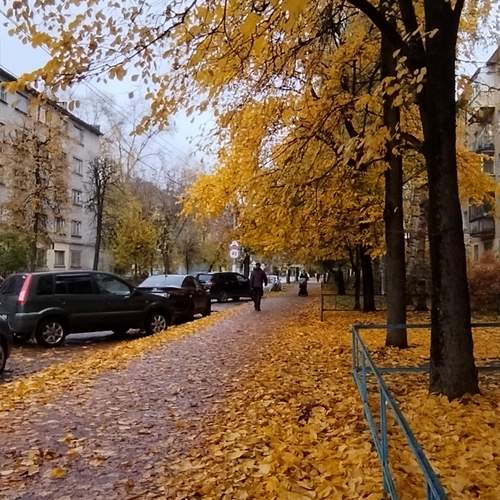 Фотография #12853397