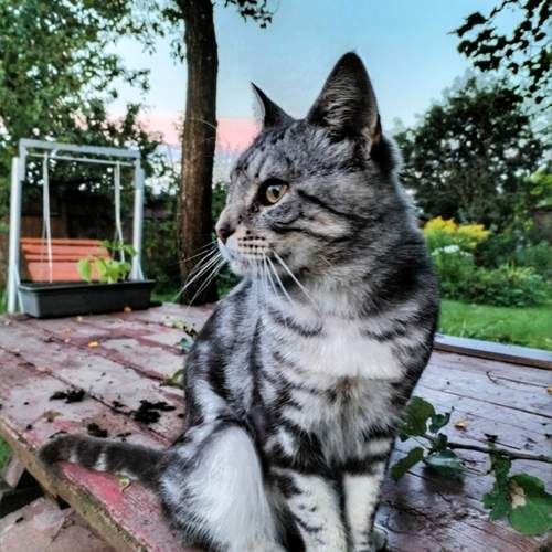 Photo #12853399