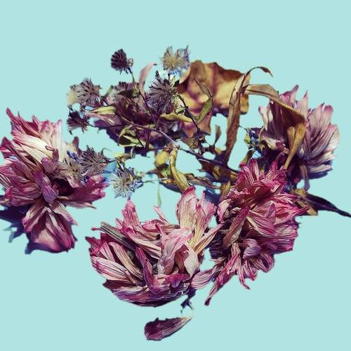Photo #12853403