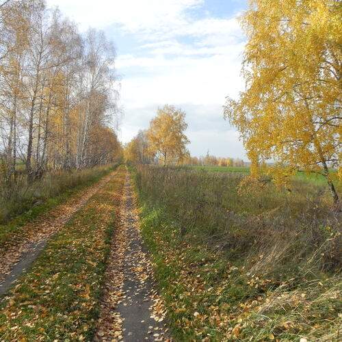 Photo #12853496