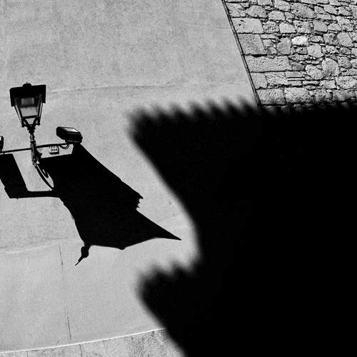 Photo #12853509