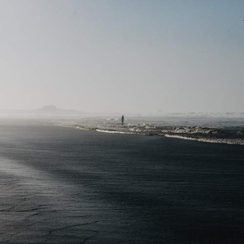 Photo #12853554
