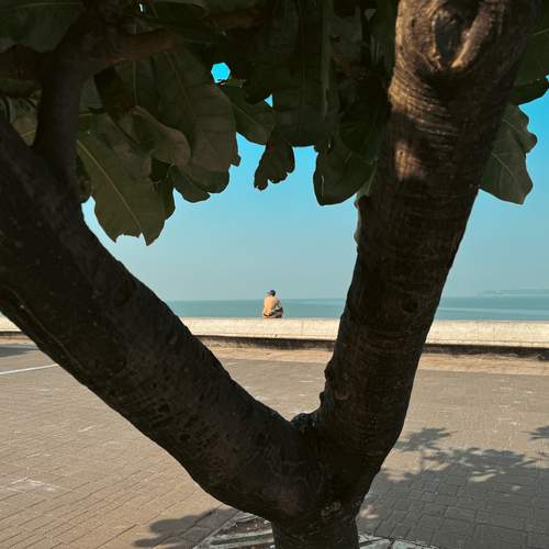Photo #12853618