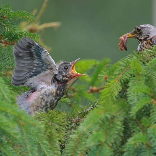 Photo #12853703