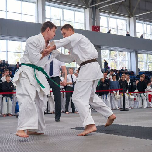 Photo #12853756