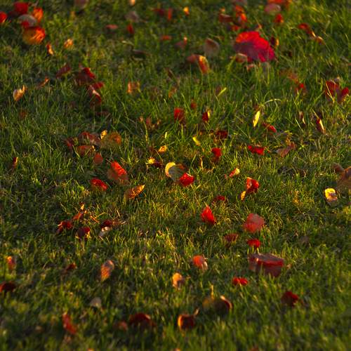 Photo #12853782