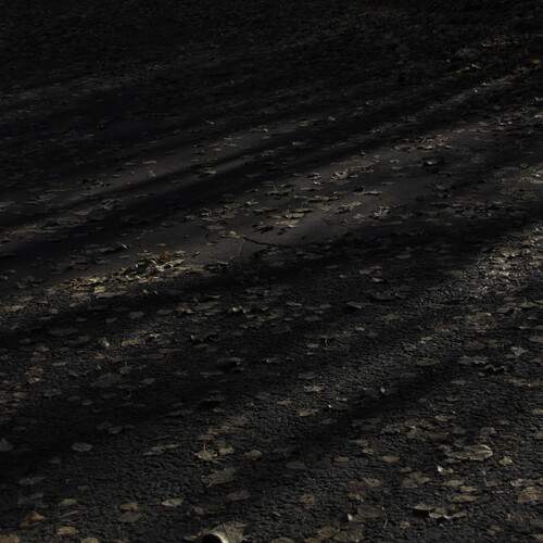 Photo #12853839