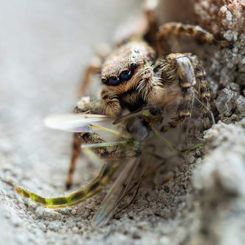Photo #12854043
