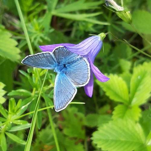 Photo #12854137