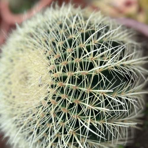 Photo #12854220