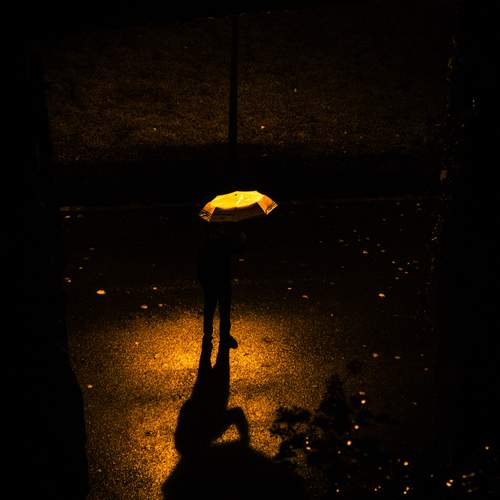 Photo #12854478