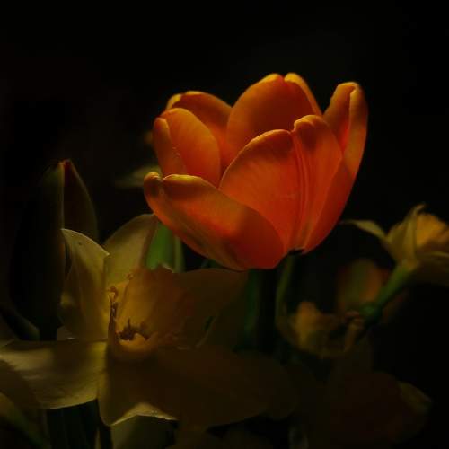 Photo #12854605