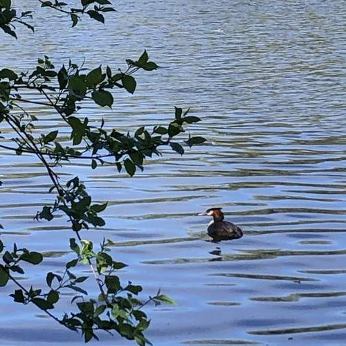 Photo #12854700